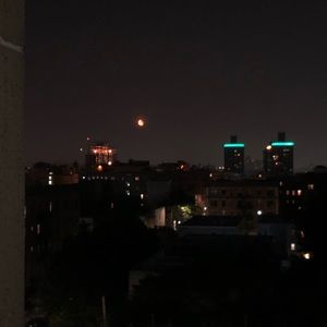 Meet your Posher, Cynthonia